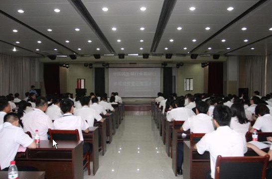 hf1.jpg